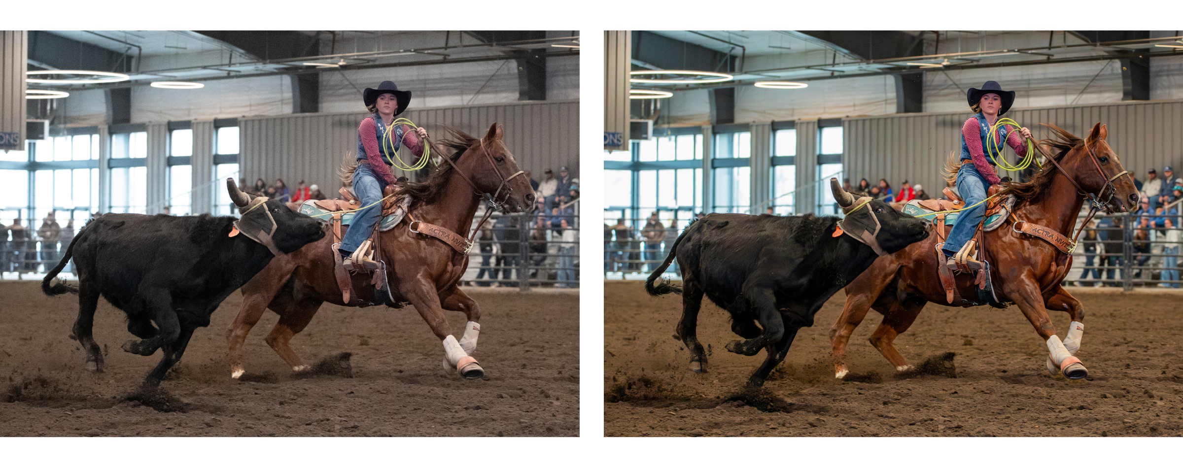 Indoor rodeo photograph before and after Lightroom editing.