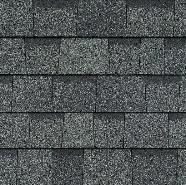 Architectural shingle roof Cape Coral FL