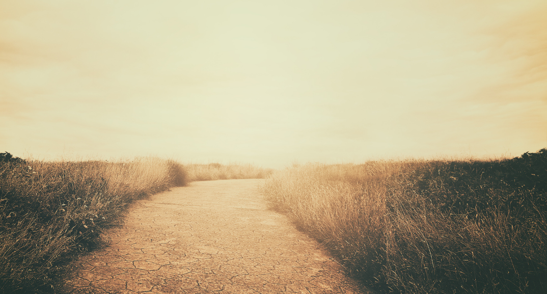 The Well-Worn Path
