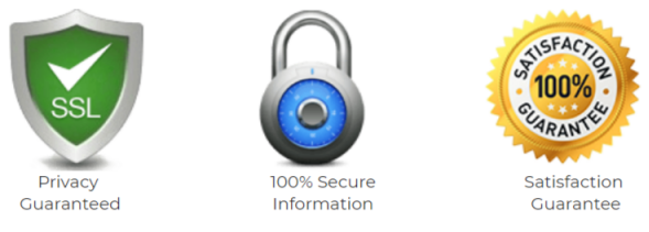 100% Secure Website