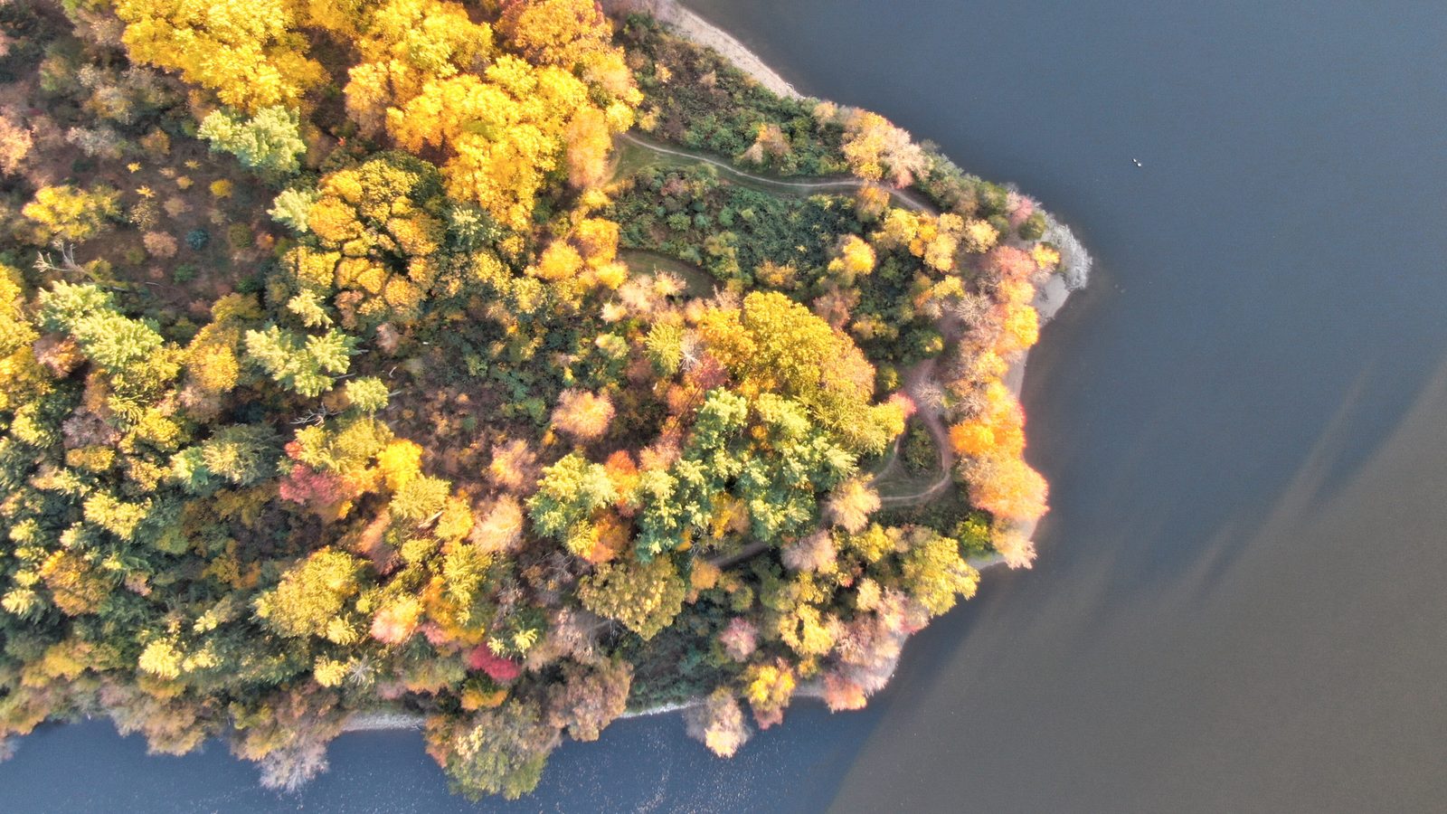 Top-down aerial photo of fall foliage at Lake Redman, York County