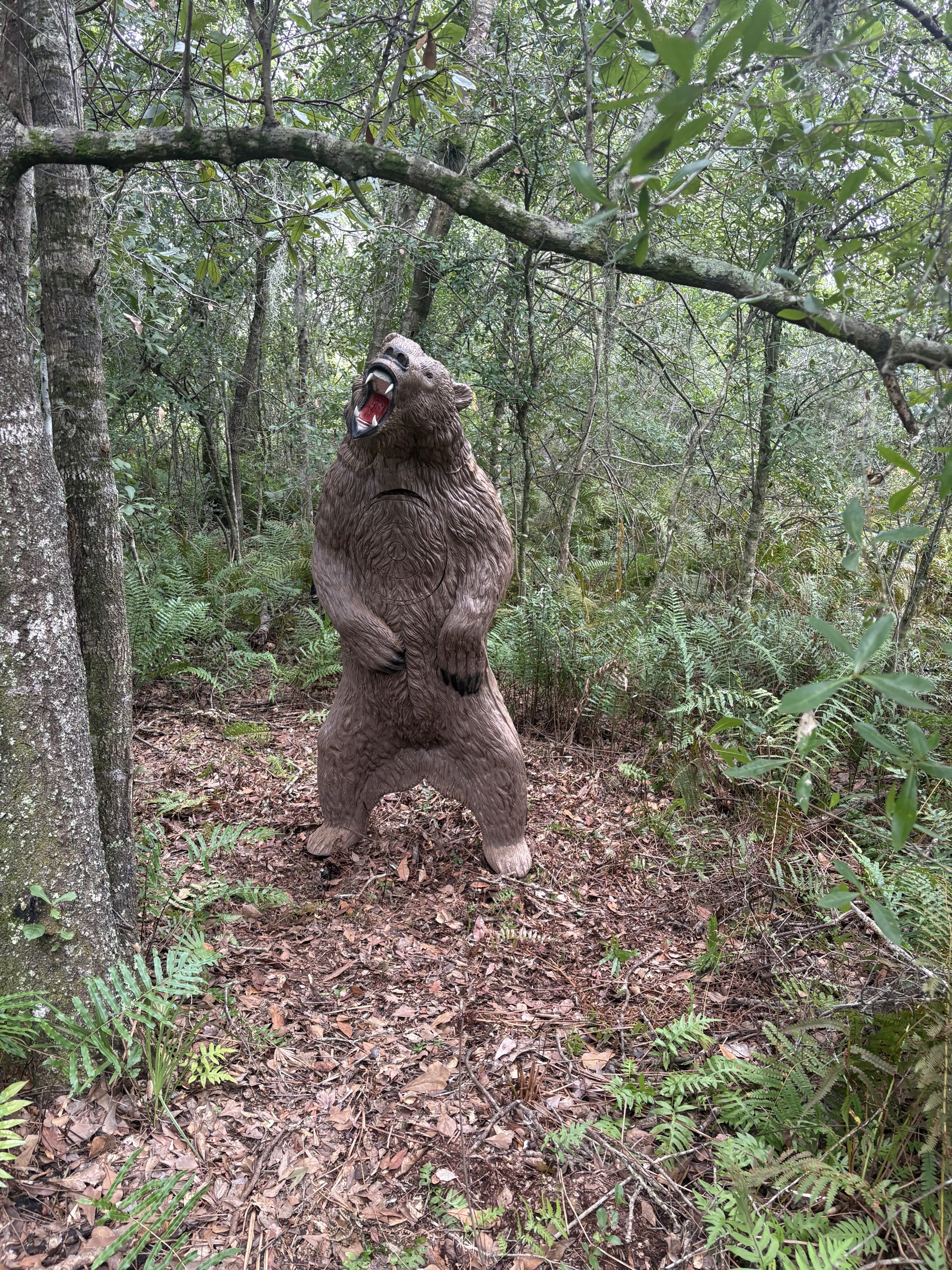 Life-sized bear archery target surrounded by trees and palmettos on MGAC’s wooded 3D trail