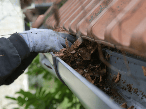 Gutter Cleaning in Sydney CBD