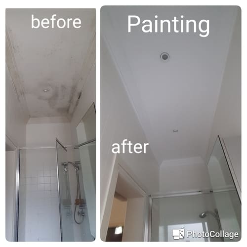 Gutter & Roof Repairs Sydney CBD