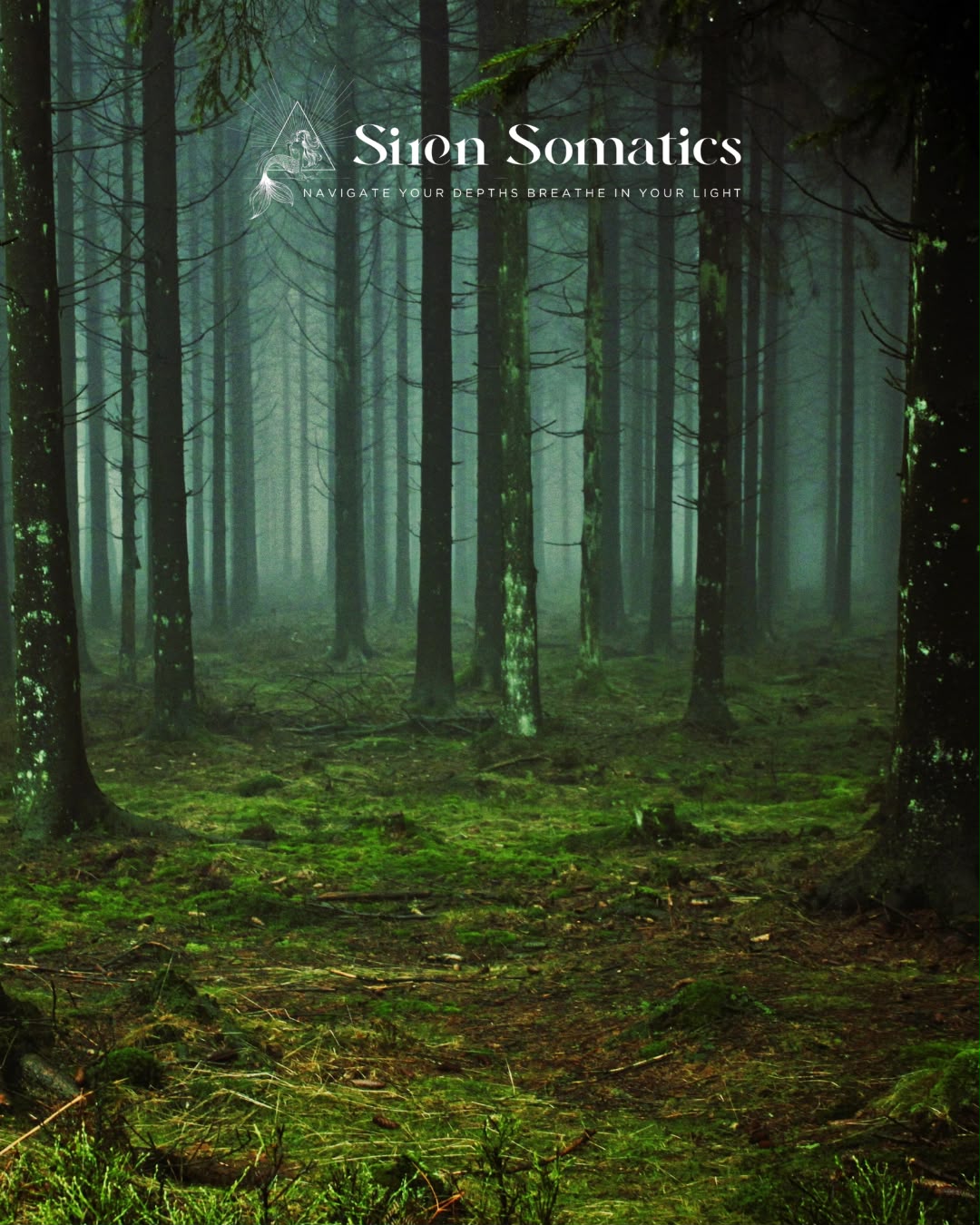 Tam Lin and the Maiden of Carterhaugh — somatic sleep story