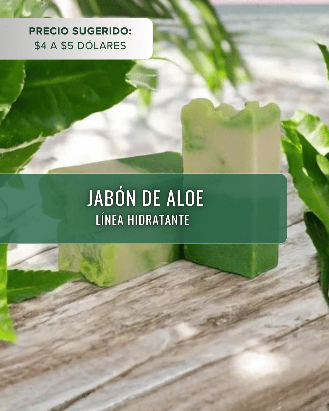 Jabón de Aloe