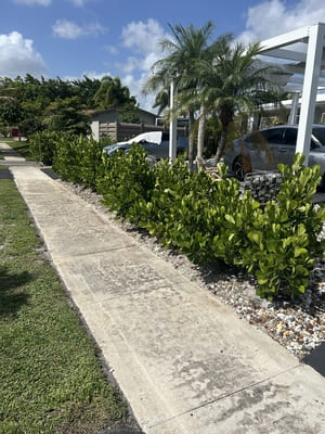 {{ custom_values.service_2 }} in {{custom_values.area_1})