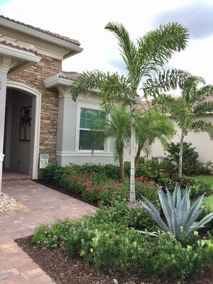 {{ custom_values.service_1 }} in {{custom_values.area_2})