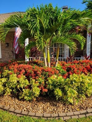 {{ custom_values.service_1 }} in {{custom_values.area_4})