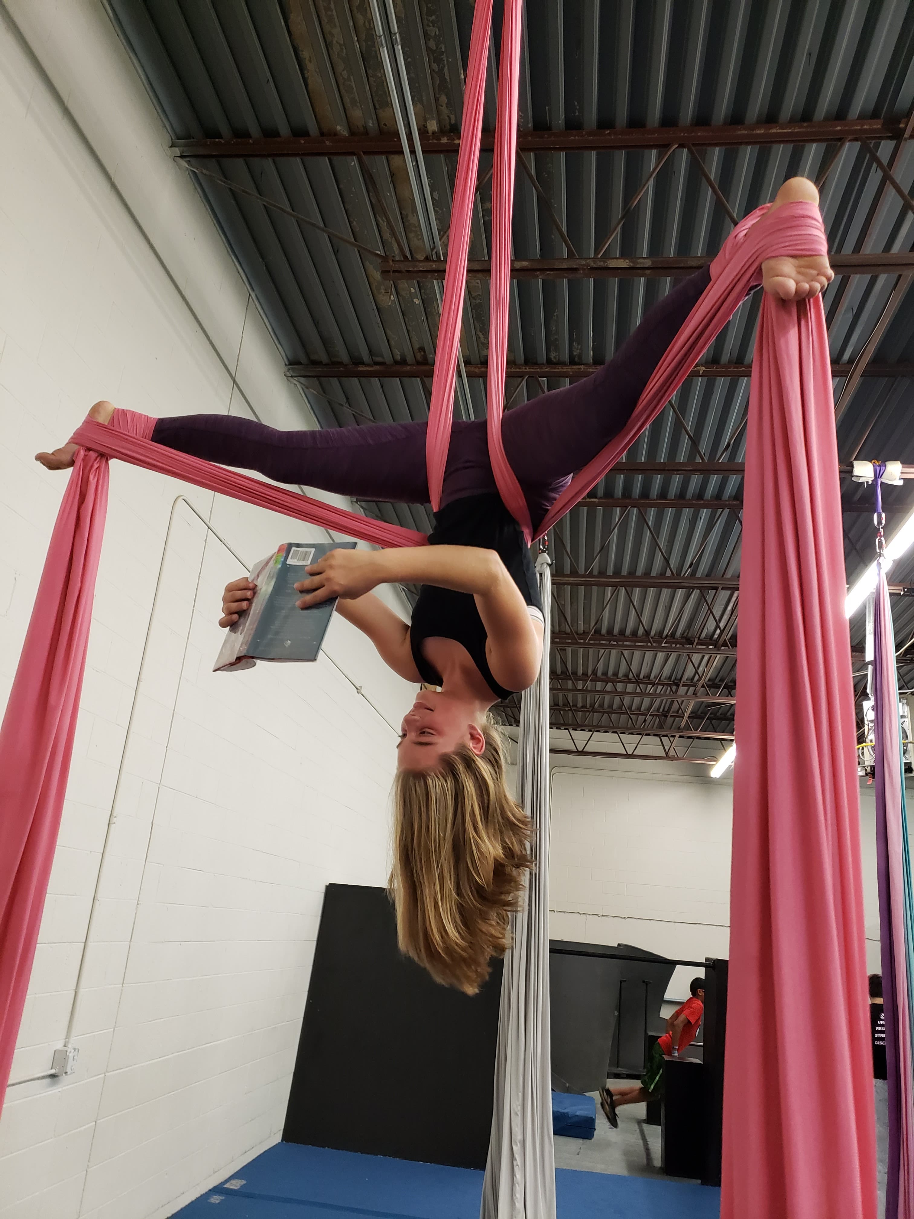 Aerial Silks