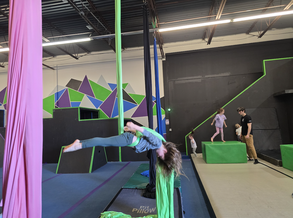 Aerial Silks