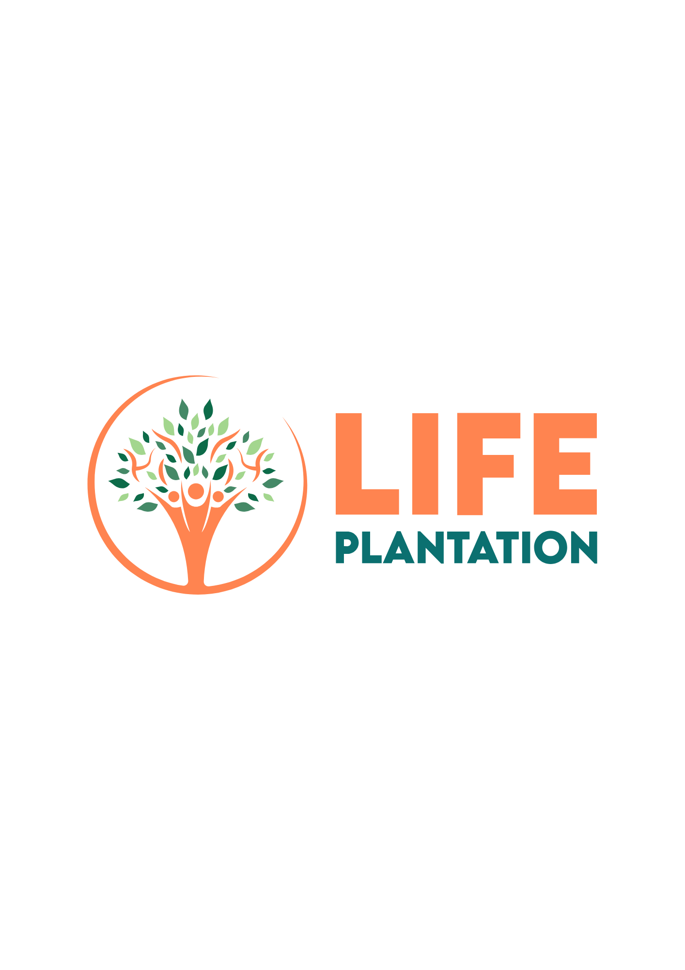 Life Plantation — Investissement durable en arbres Paulownia