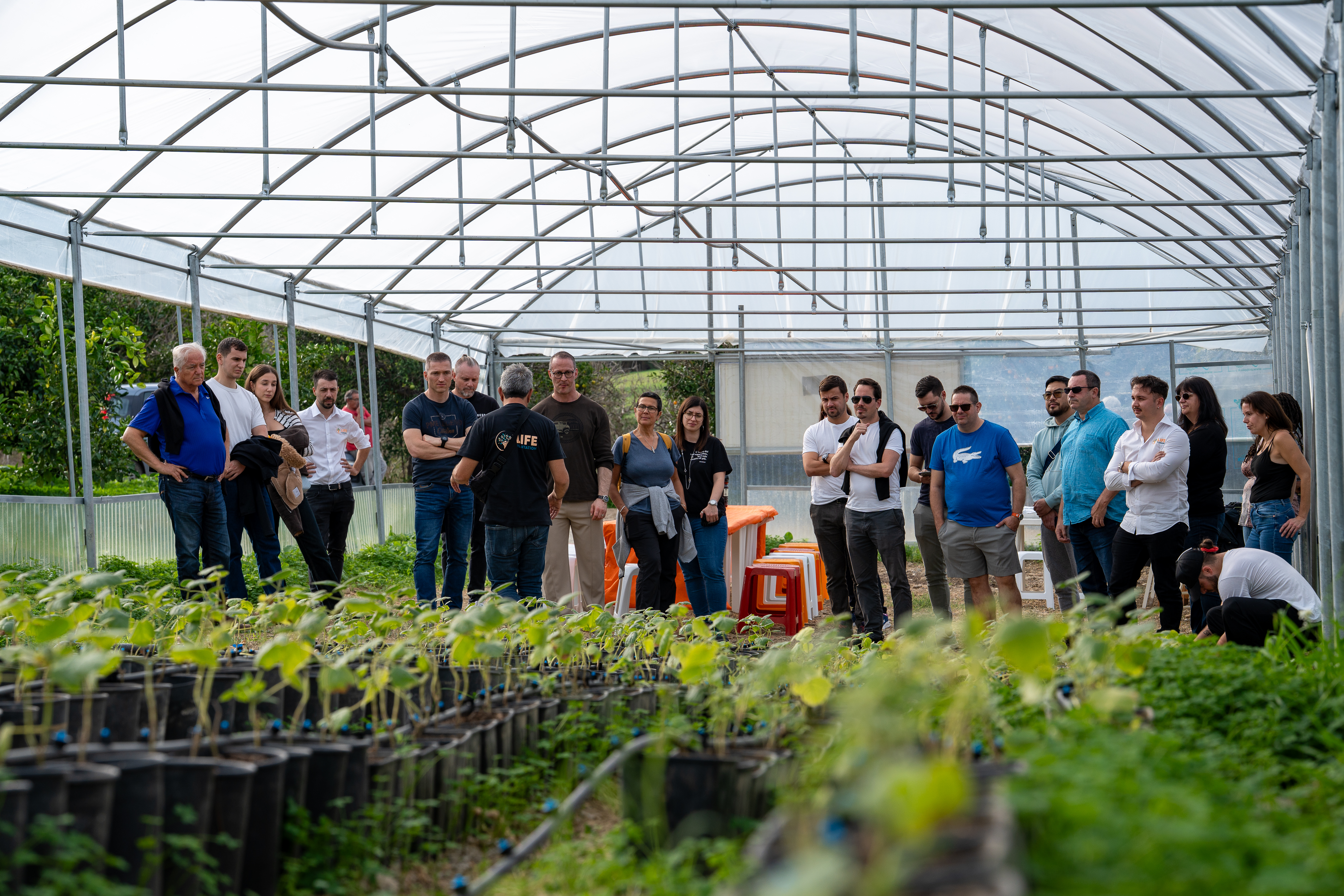 Visite dâune serre Life Plantation avec jeunes plants en dĂ©veloppement