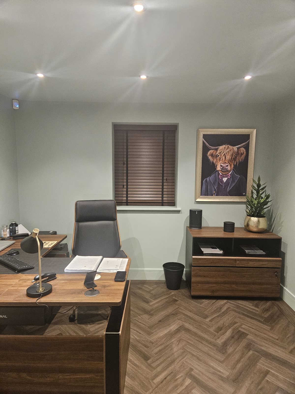 Walnut Venetian blinds in a sage green home office near Bawtry, fitted by Eclipse SBC Walnut Venetian blinds in a sage green home office near Bawtry, fitted by Eclipse SBC