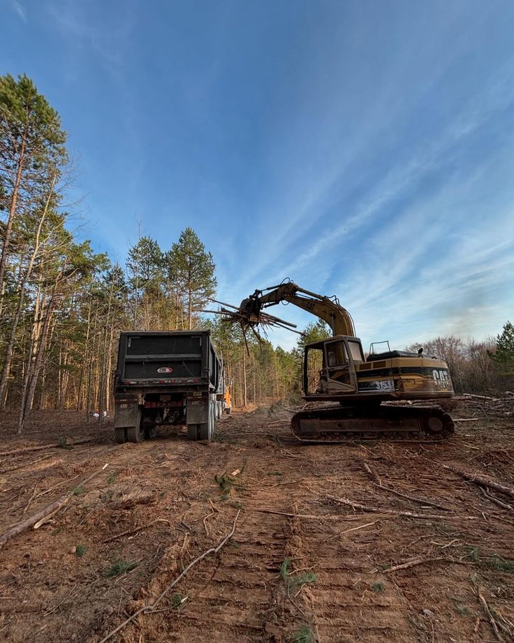 Forestry Mulching