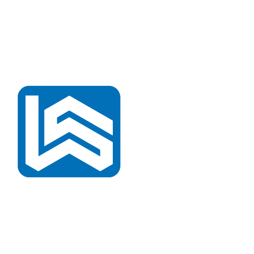 Webinar Savvy Logo