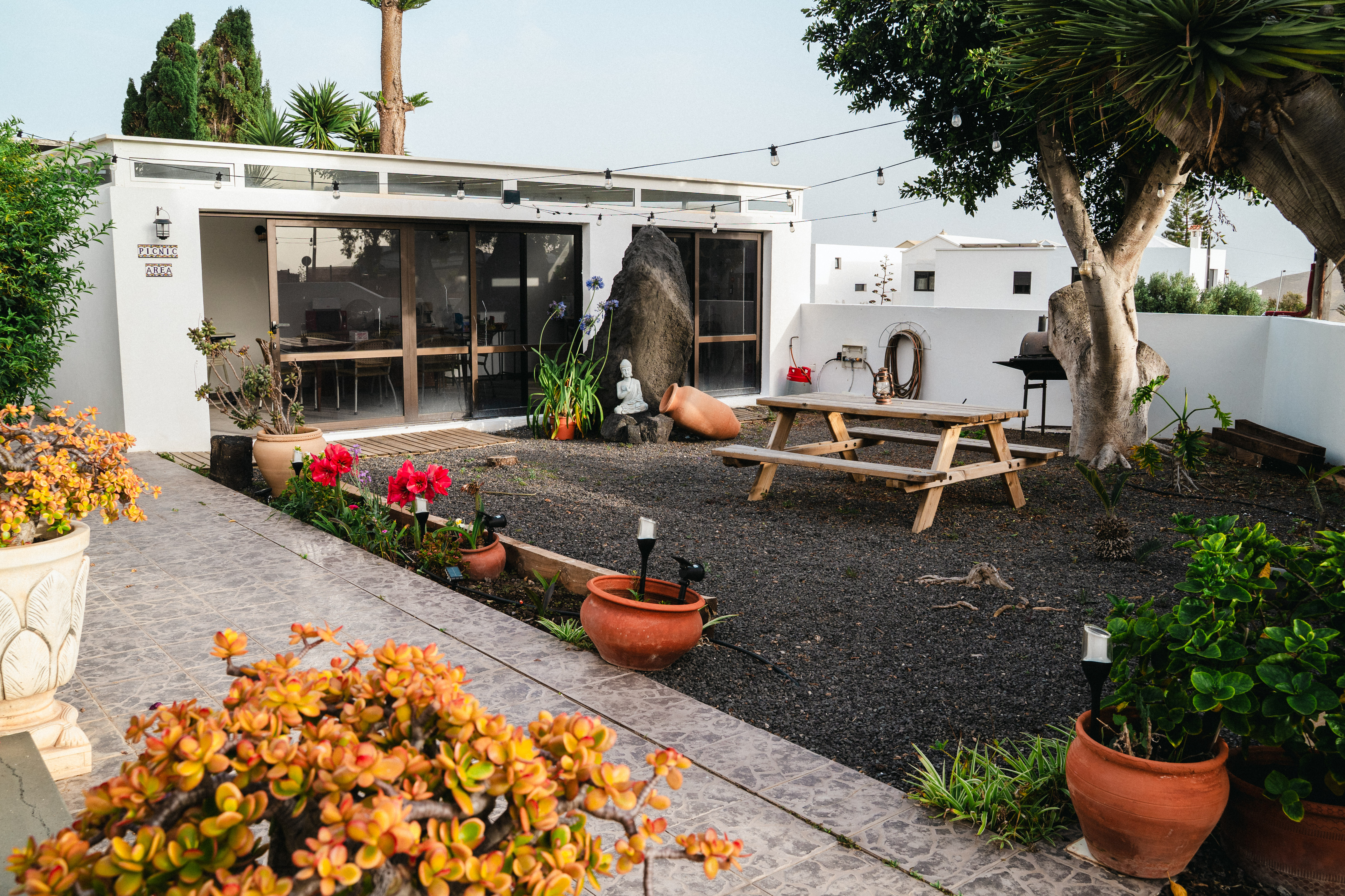 Jardín de una villa preparado por el equipo de Macaronesia Homes