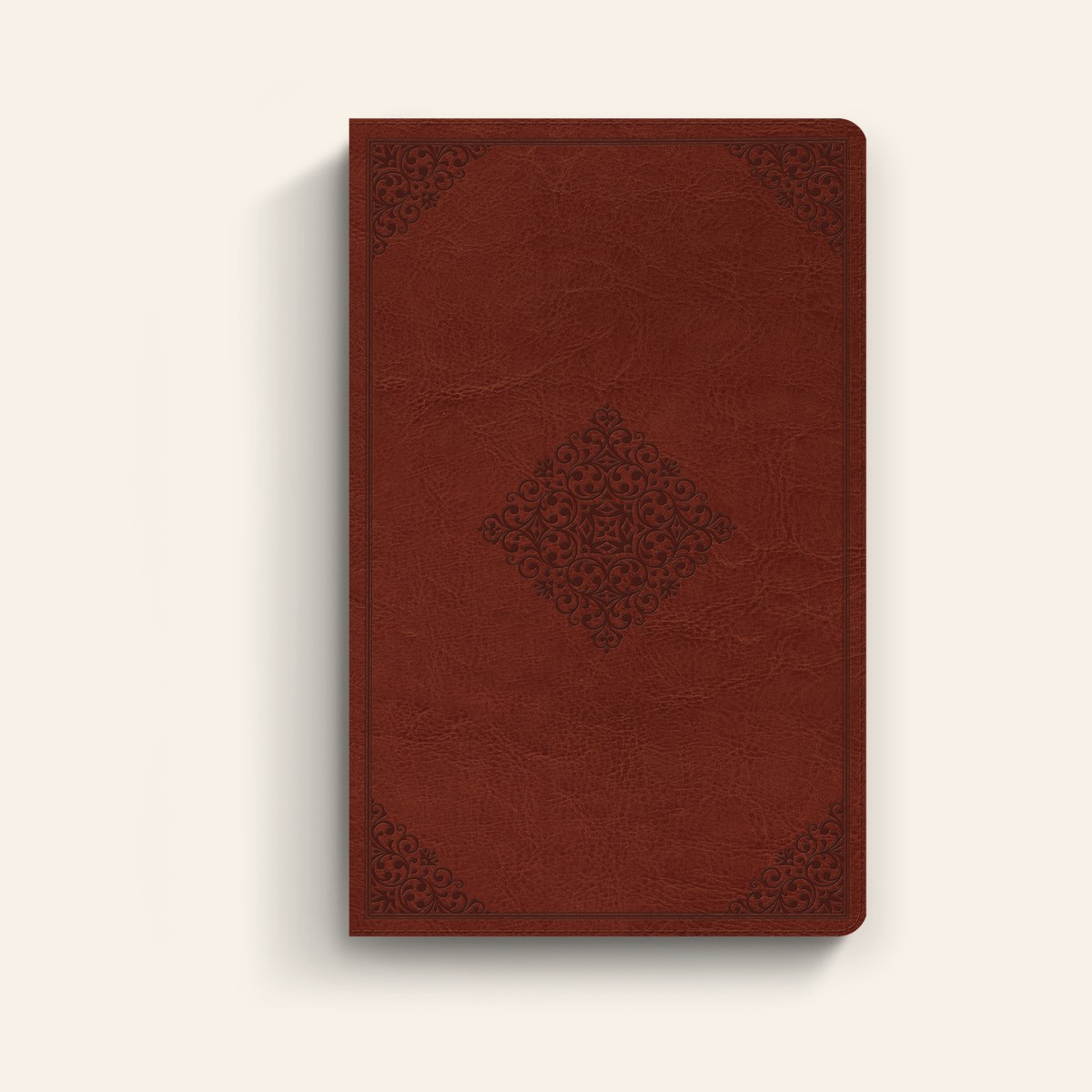 ESV Large Print Value Thinline Bible (TruTone, Tan)
