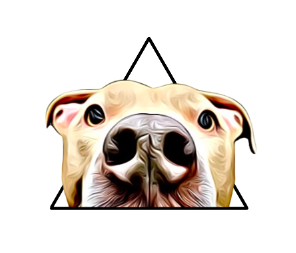 image of company logo