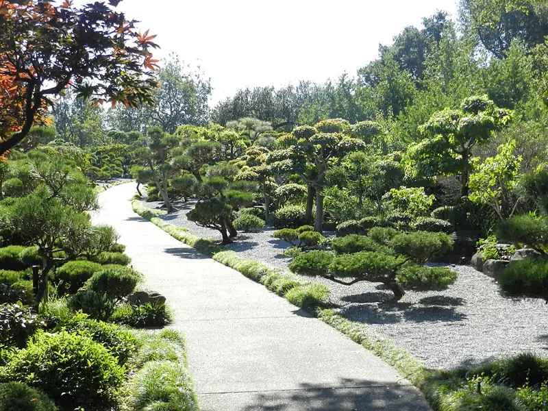 Landscaped path at the Japanese Gardens in Hayward