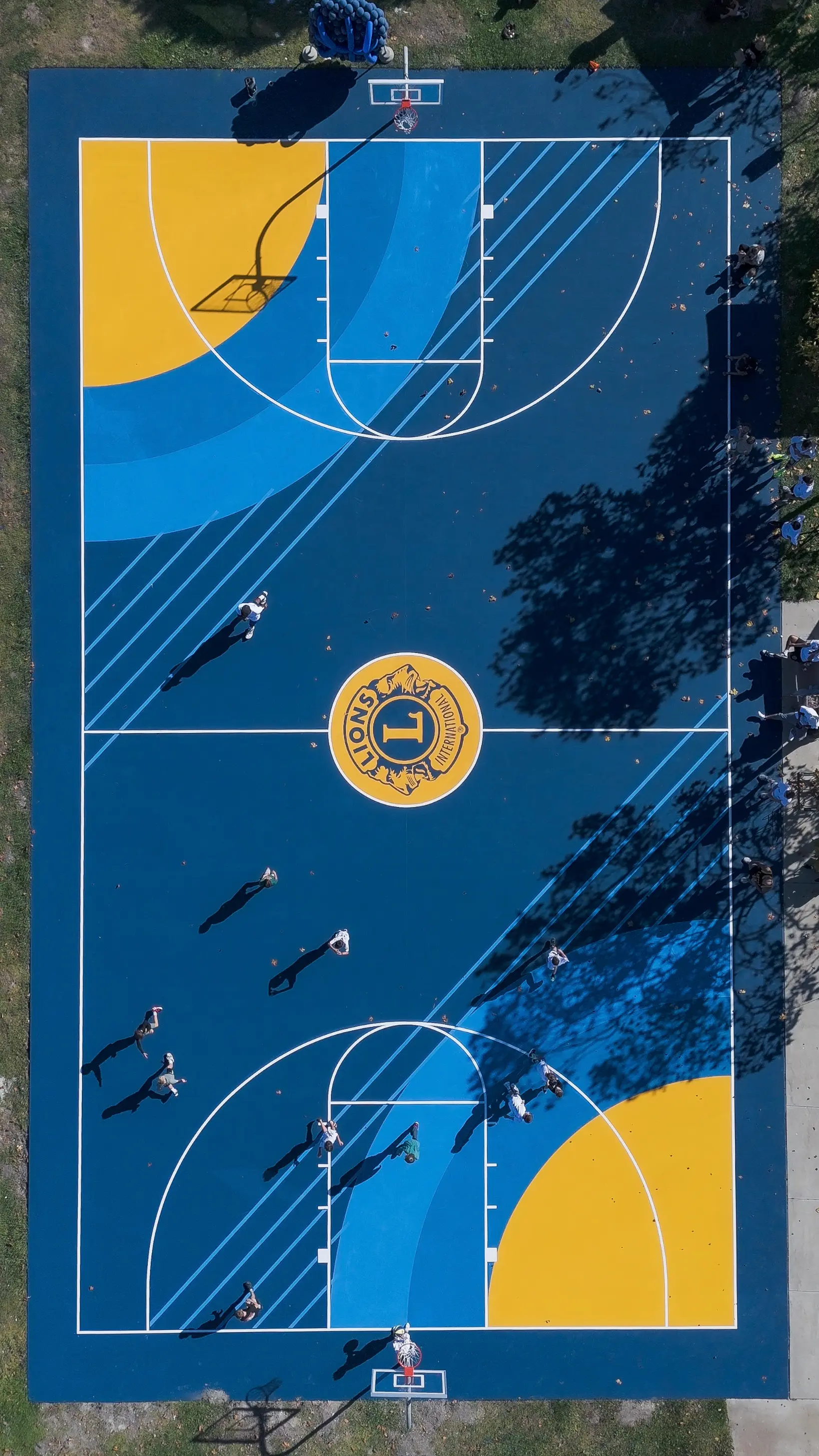 Yellow Blue Lions International