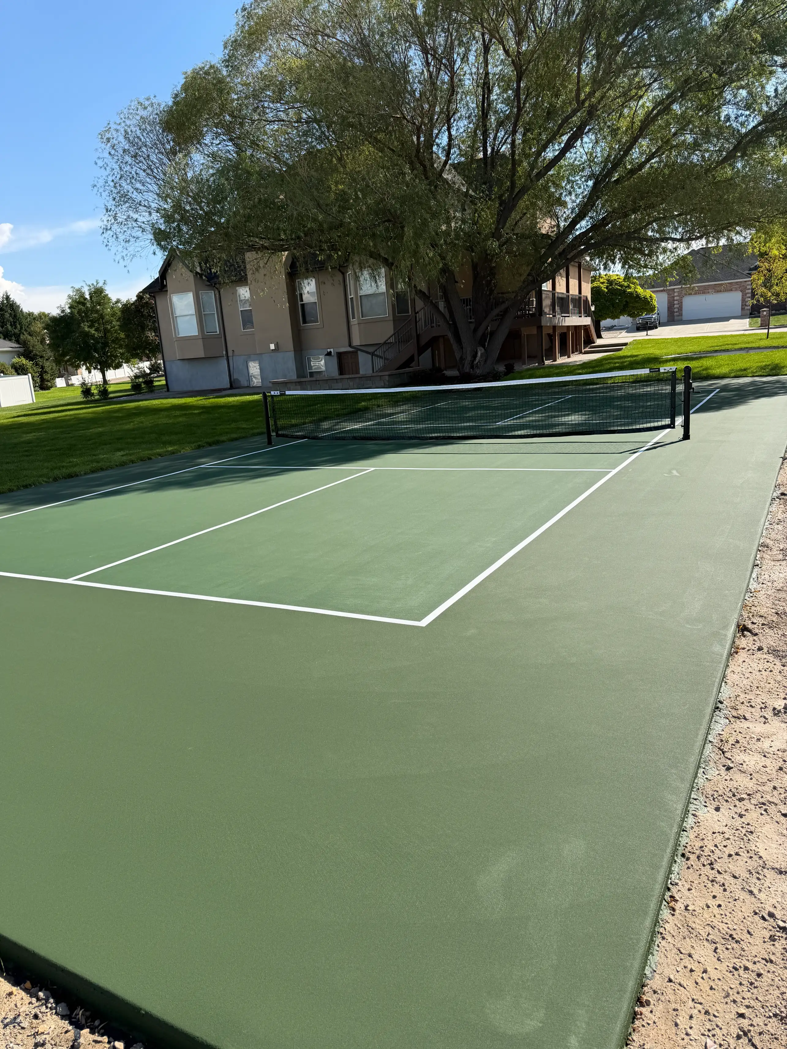 All-green pickleball court with net under a large shade tree