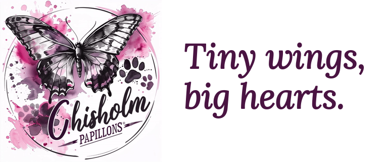 Ronnie Kimbrough business logo