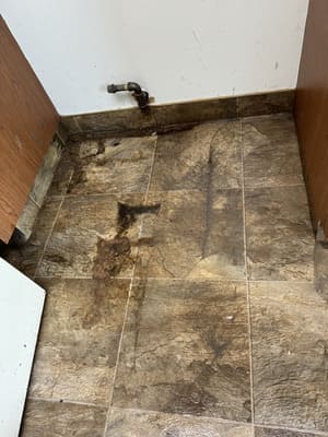 Deluxe cleaning in Berkley