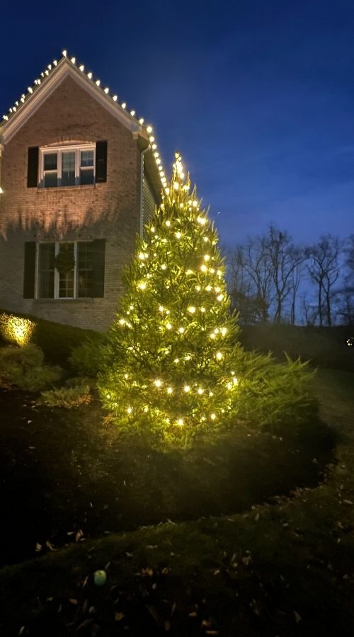 LED Christmas tree lighting and residential home display by Golden Glow Christmas Lights