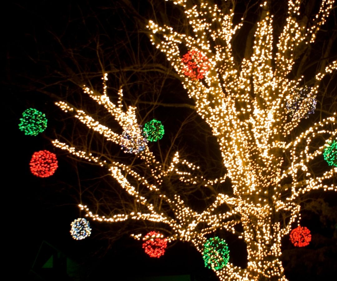 Professional Christmas tree lighting with colorful LED ornament lights - commercial holiday display