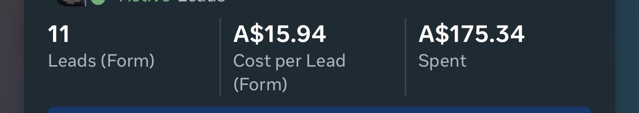 Ad account results: 11 leads at $15.94 per lead from $175.34 spent