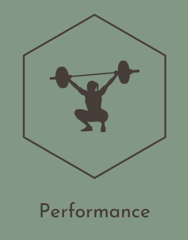 Performance
