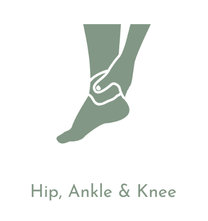 Hip, Ankle & Knee