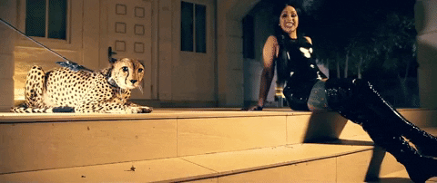 gif of Cardi B beside a tiger gif of Cardi B beside a tiger