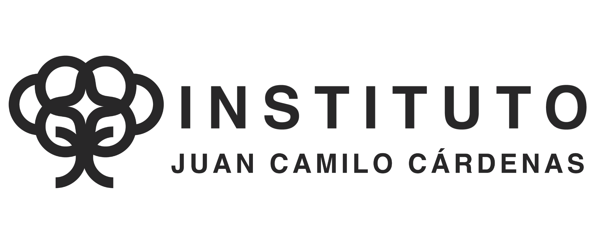Instituto Juan Camilo Cardenas