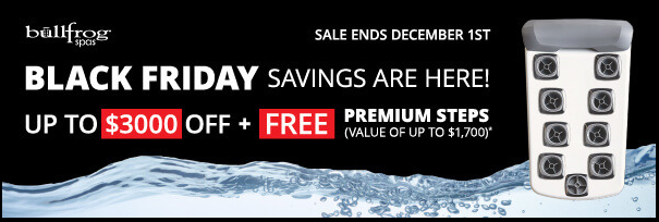 Black Friday Special Sale