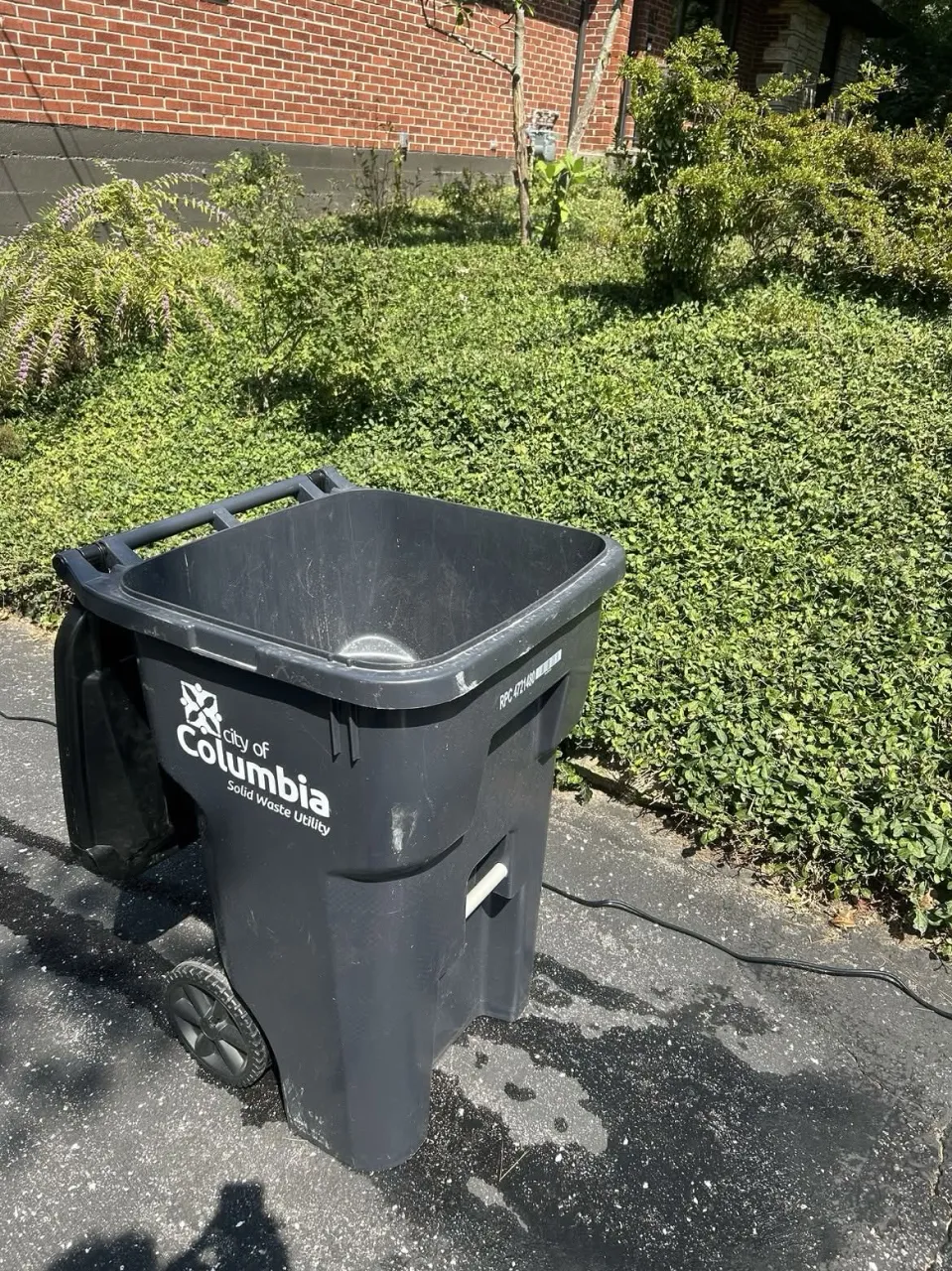 trash bin before cleaning