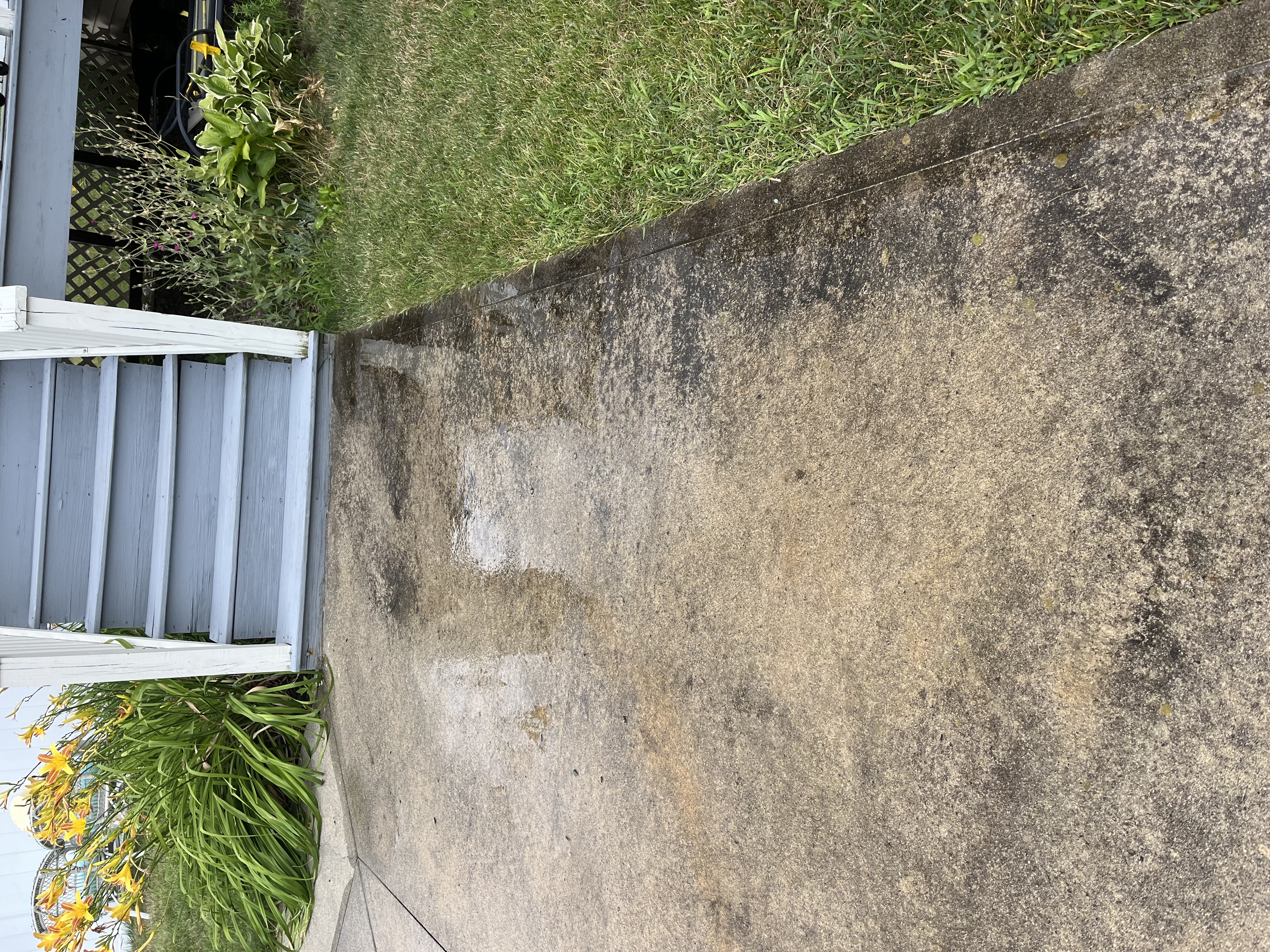 Before — Elite Landscapes, Stratham NH