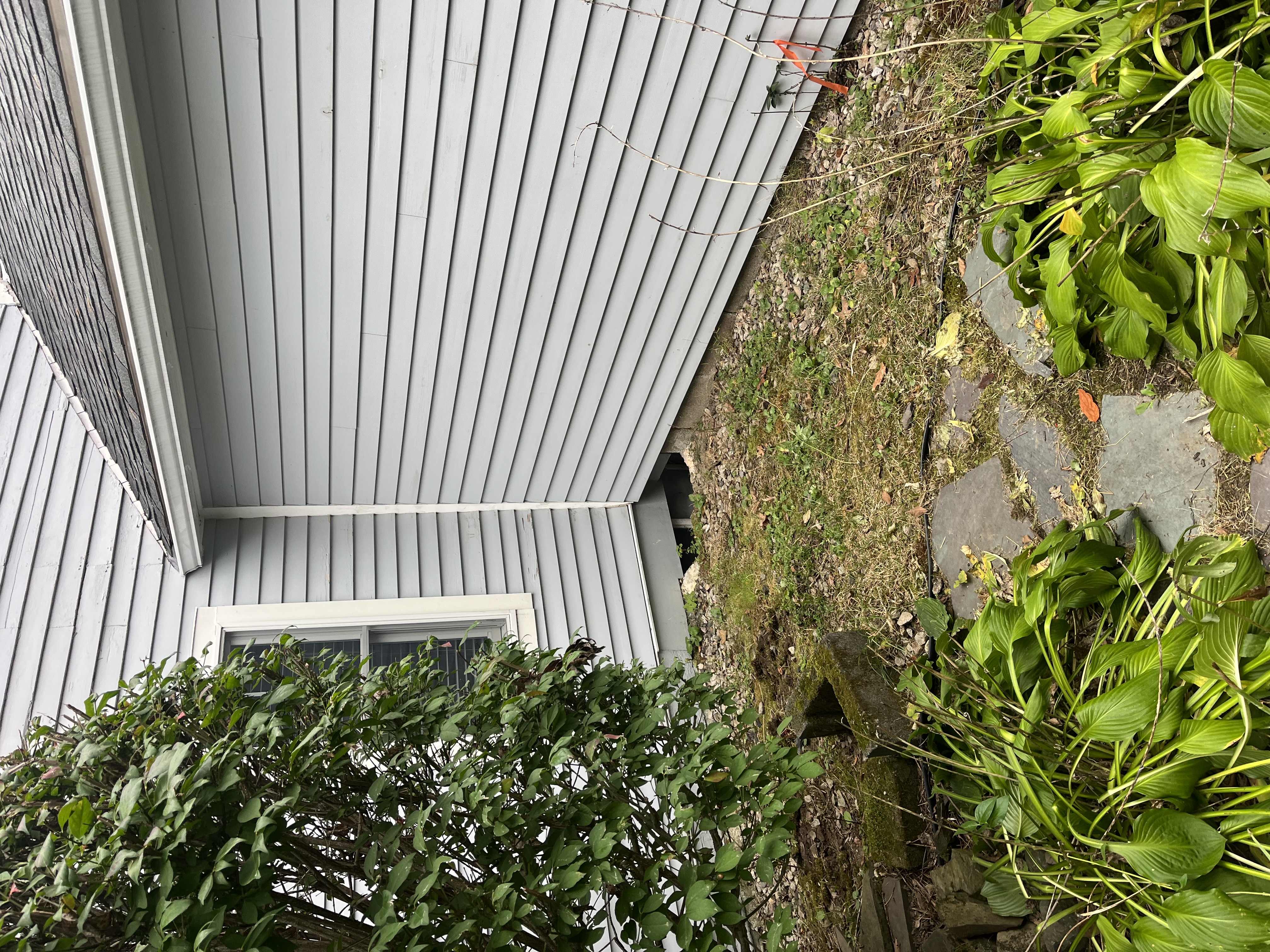 Before — Elite Landscapes property cleanup, Stratham NH
