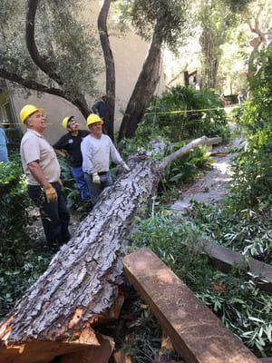 Stump Grinding in All of Riverside County