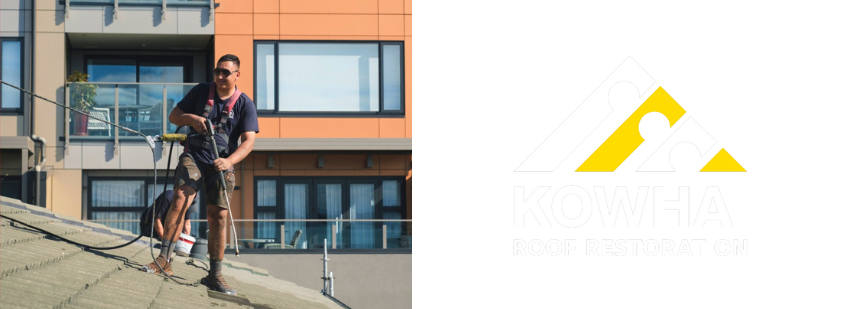 Roof maintenance project