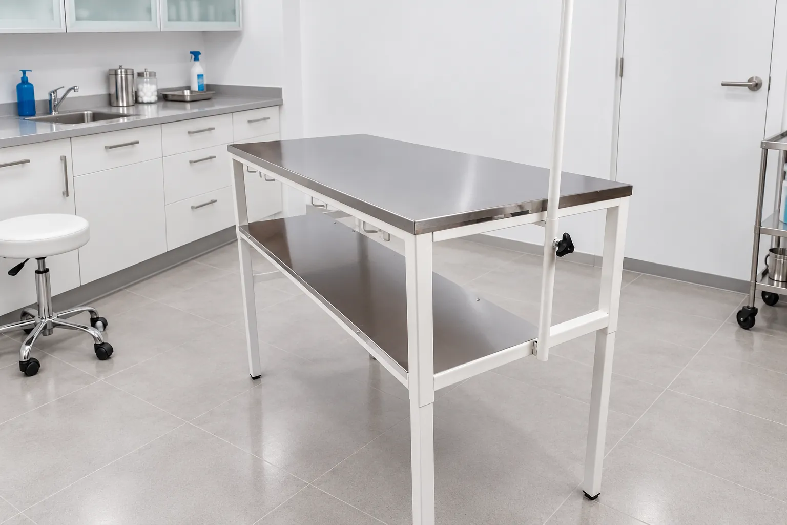 Mobiliario veterinario en un consultorio