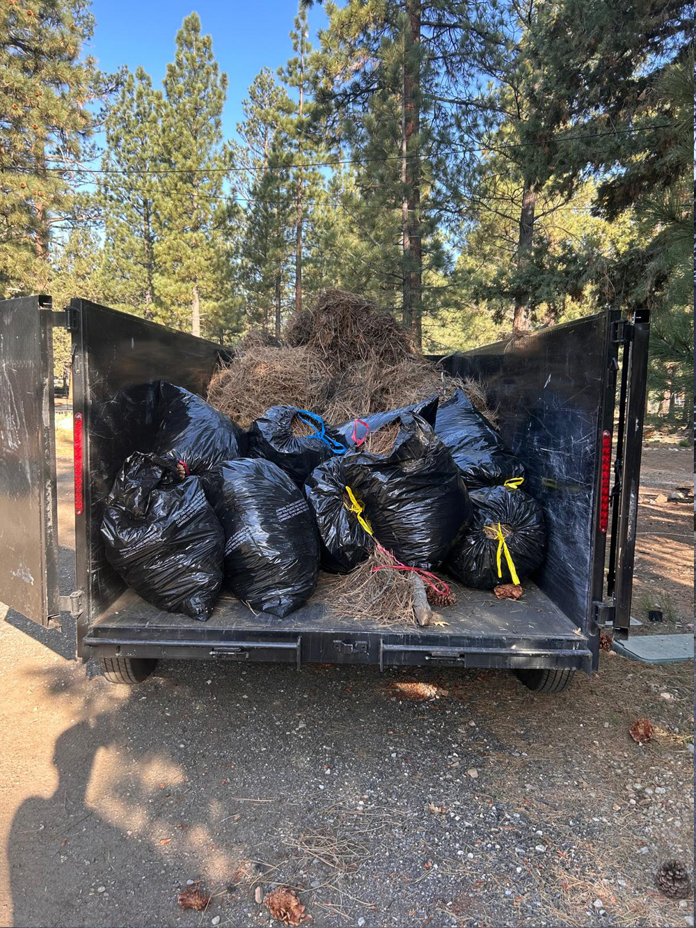 Junk Removal
