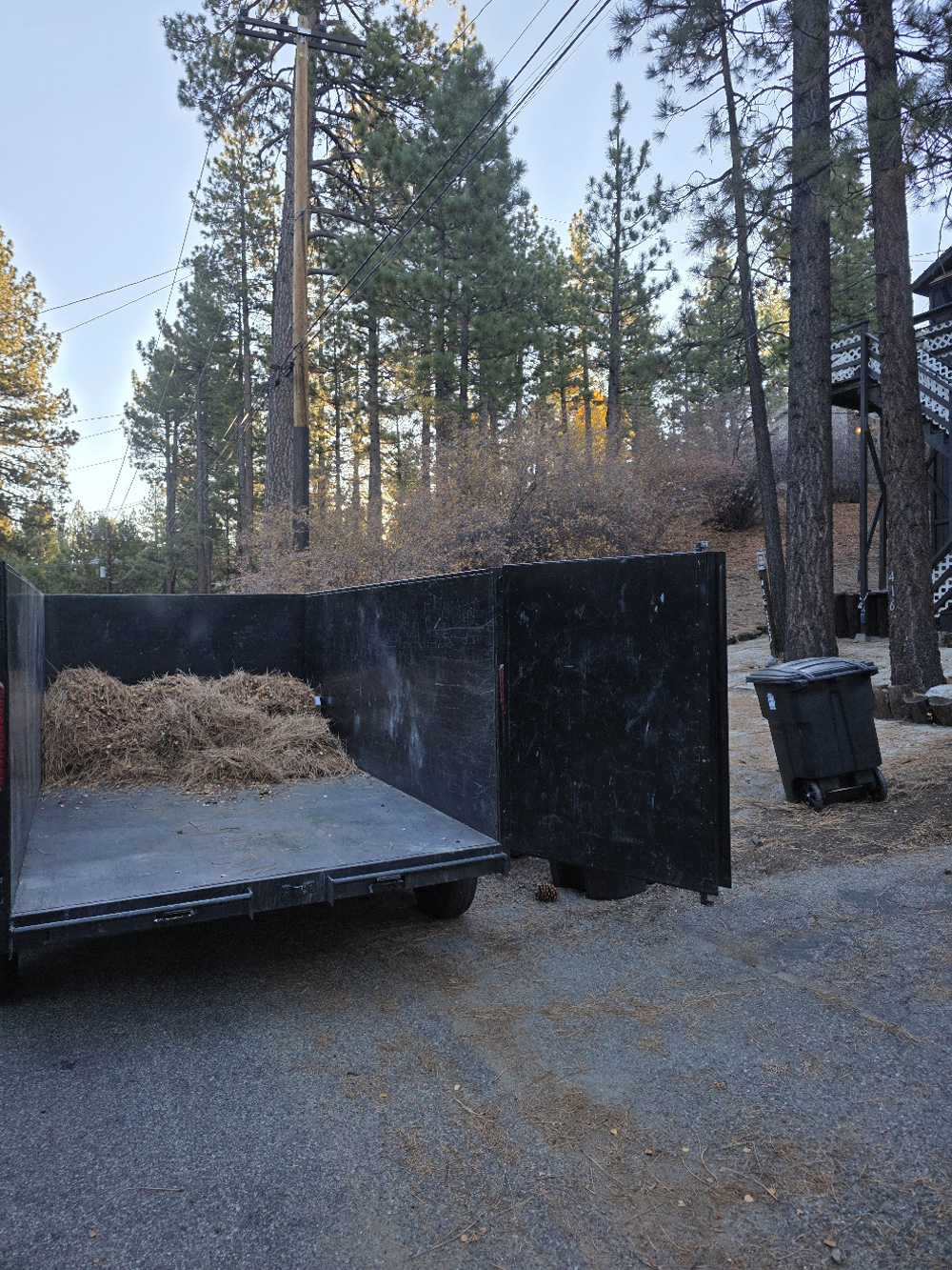 Junk Removal