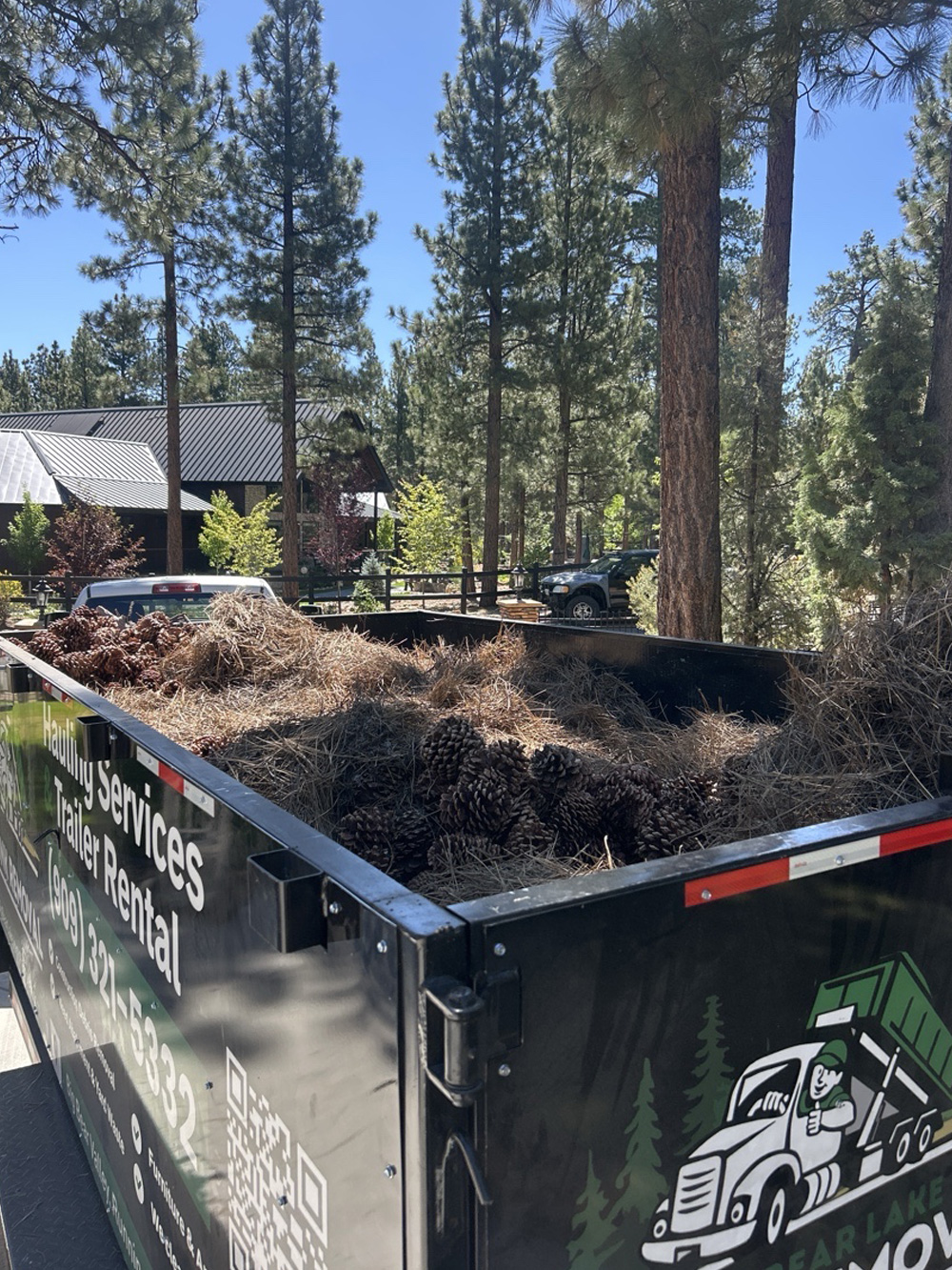 Junk Removal