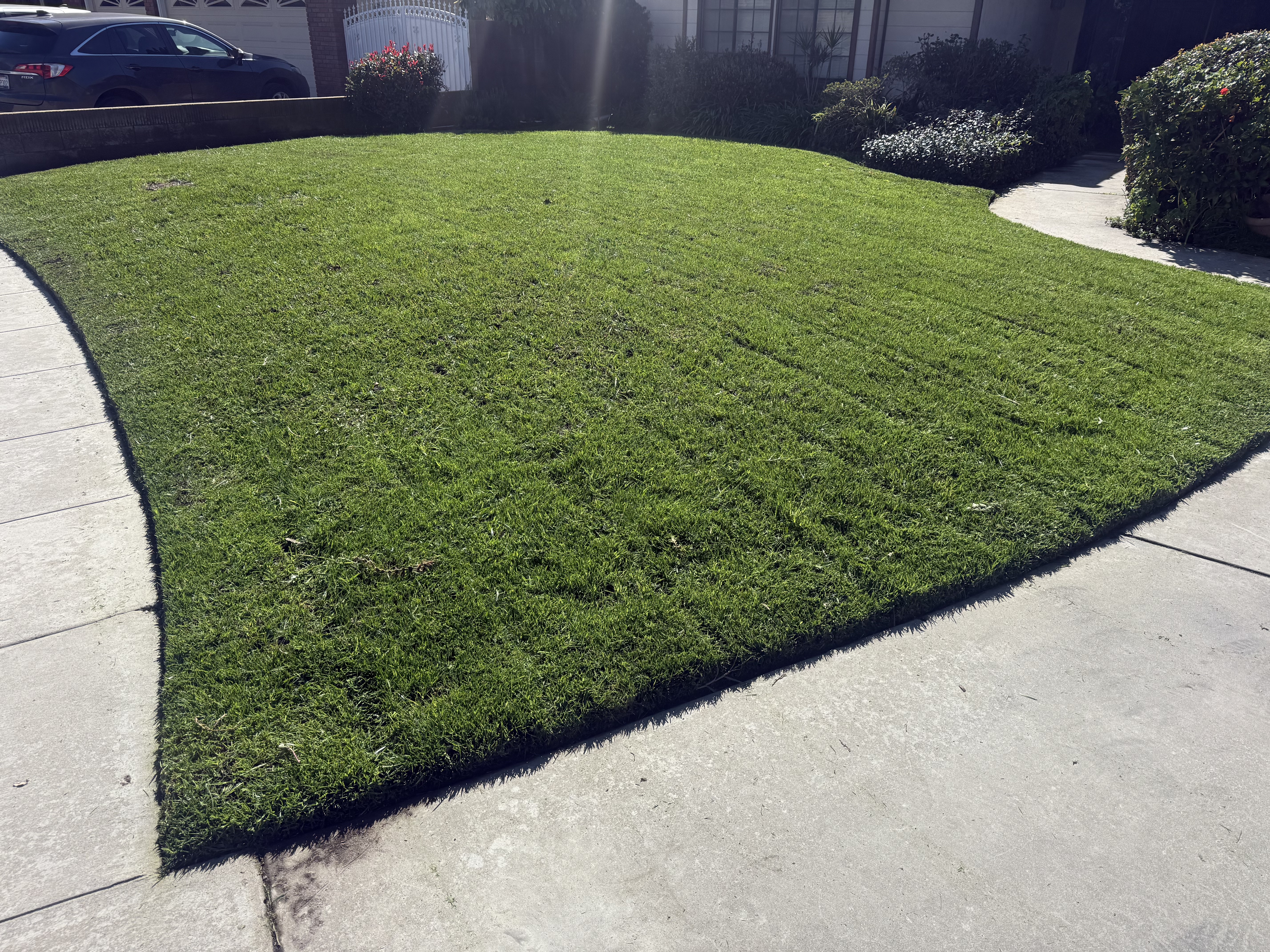Freshly mowed green lawn with clean stripes