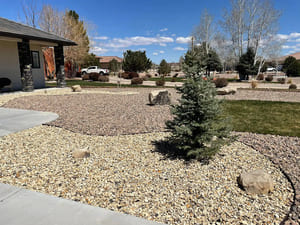 Fertilization in Pueblo