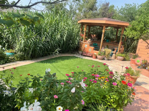 Yard maintenance in Pueblo west