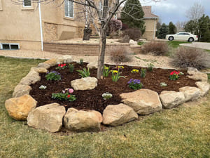 Yard maintenance in Pueblo