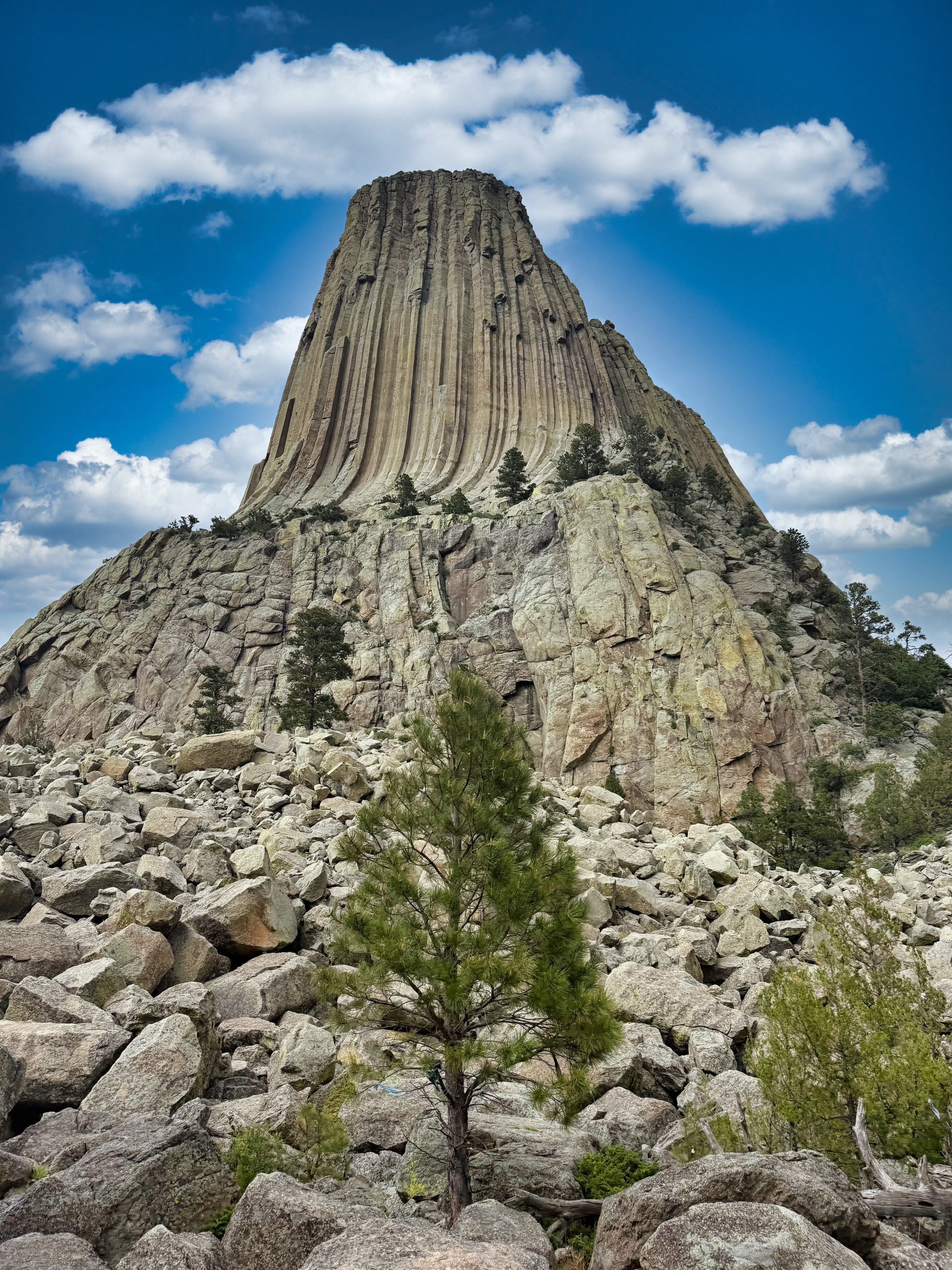 Devil's Tower vertical lines